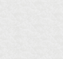 Load image into Gallery viewer, Lidia Coverlet Leitner Leinen