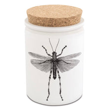 Load image into Gallery viewer, Scented Citronella Candles