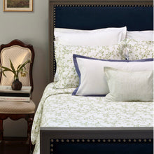 Load image into Gallery viewer, Chloe Shams by Stamattina