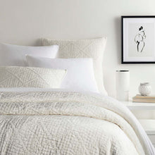 Load image into Gallery viewer, Parisienne Velvet Quilts - Maisonette Shop