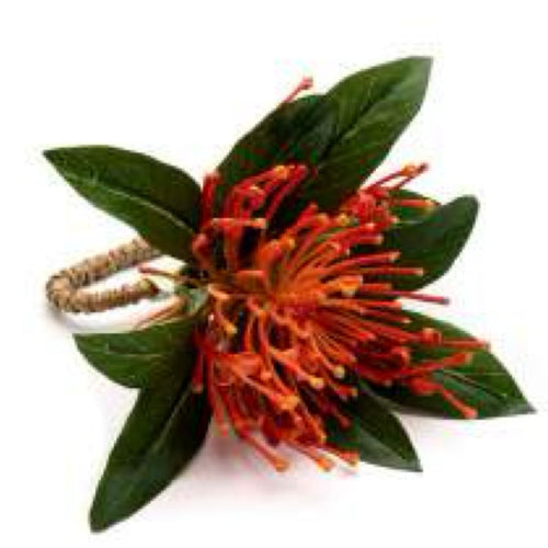 Protea Napkin Rings