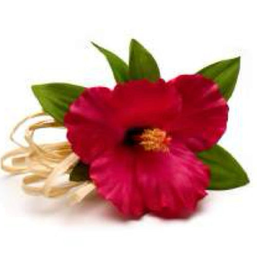 Hibiscus Napkin Rings