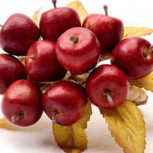 Load image into Gallery viewer, Apple Picking Napkin Rings