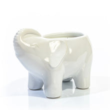 Load image into Gallery viewer, White Elephant Candle