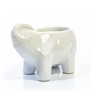 White Elephant Candle