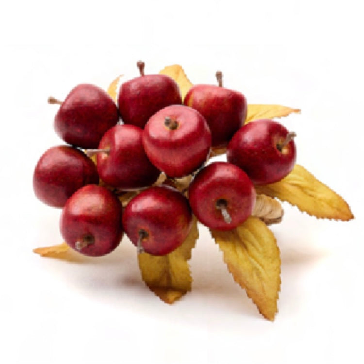 Apple Picking Napkin Rings