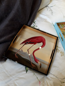 Flamingo Lacquer Tray from the Chatsworth House Audubon Birds Collection - Maisonette Shop