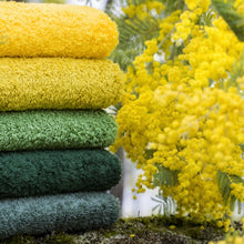 Load image into Gallery viewer, Must Bath Rugs Greens by Abyss Habidecor