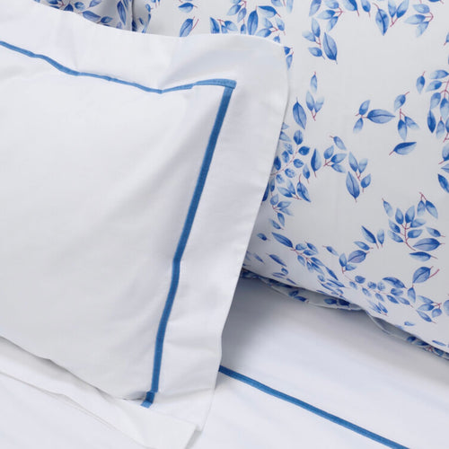 Marco Shams by Stamattina