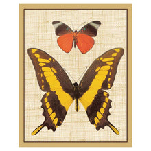 Load image into Gallery viewer, Deyrolle Butterflies Bridge Tally Sheets - 12 Per Package - Maisonette Shop