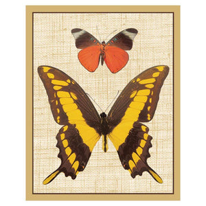 Deyrolle Butterflies Bridge Tally Sheets - 12 Per Package - Maisonette Shop