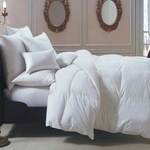 Bernina 650 Fill Power White Goose Down European Comforter - Maisonette Shop
